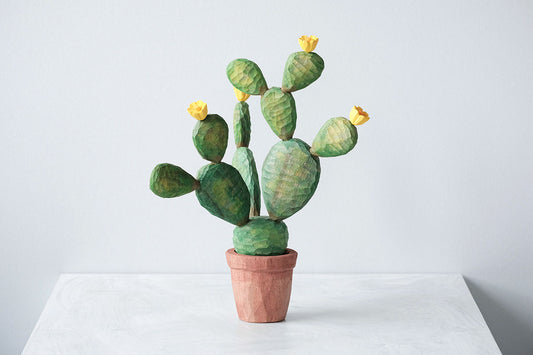 ウチワサボテン 小